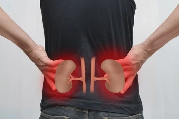 ডায়াবেটিস ও উচ্চ রক্তচাপের কারণে কিডনির ক্ষতি হচ্ছে, যেভাবে ঠেকাবেন