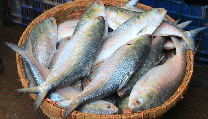 ভারতে ইলিশ রপ্তানি বন্ধে আইনি নোটিশ