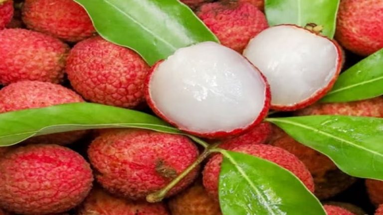 পাকা ও রসালো মিষ্টি লিচু চেনার উপায়