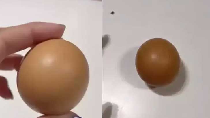 এক ডিমের দাম দেড় লাখ টাকা!