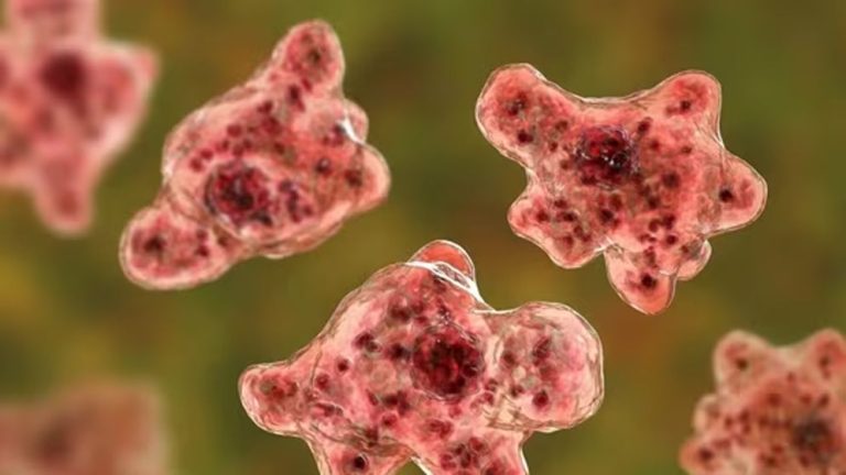 ‘মস্তিষ্কখেকো অ্যামিবা’য় ১৯ জনের মৃত্যু, লক্ষণগুলো কী?