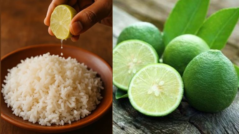 ভাতের সঙ্গে নিয়মিত লেবু খেলে কী হয়?