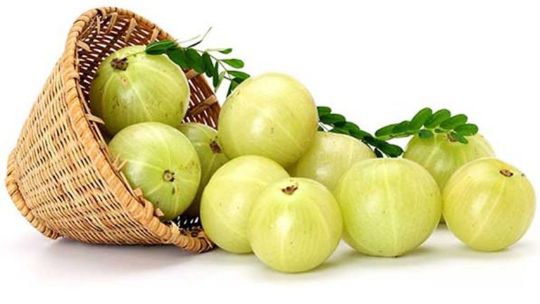 আমলকীর অবিশ্বাস্য রোগ প্রতিরোধ ক্ষমতা, জানলে অবাক হবেন