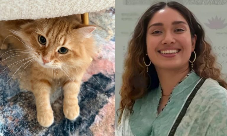 পোষা বিড়াল ‘জেবু’র বেড়ে উঠার গল্প লিখেছেন জাইমা রহমান