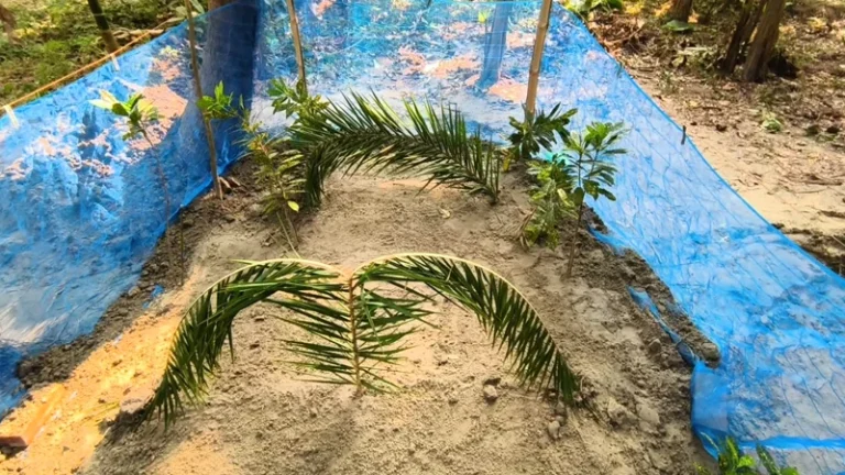 পাশাপাশি কবরে দাফন হলো কারাবন্দি ছাত্রলীগ নেতা সাদ্দামের স্ত্রী ও ছোট্ট সন্তান