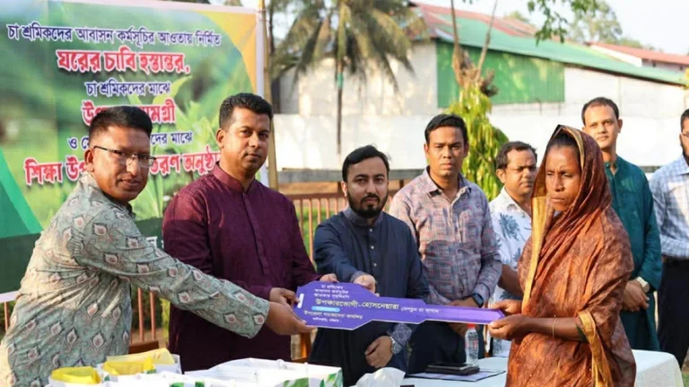 চা-শ্রমিকদের জীবনমান উন্নয়ন জরুরি: ডিসি জাহিদ