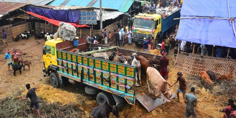 চট্টগ্রামে বড় পশুর হাট গুলো ছোট হয়ে গেছে