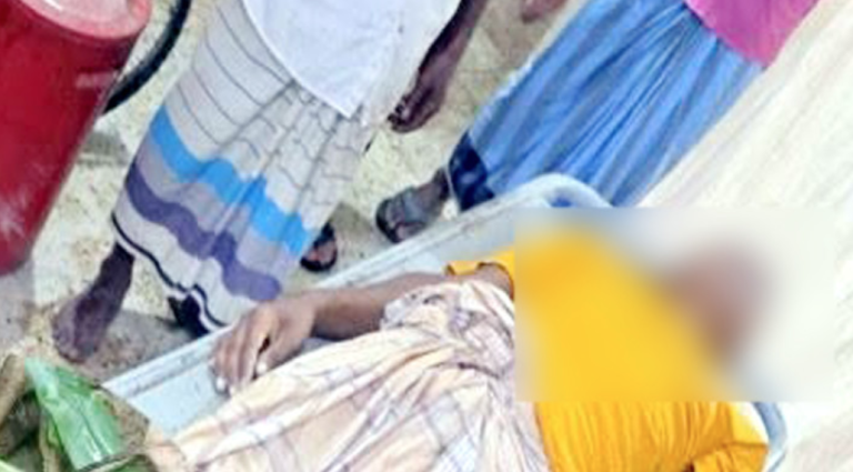 মশারির ভেতর ঢুকে সাপের ছোবল, প্রাণ গেল যুবকের
