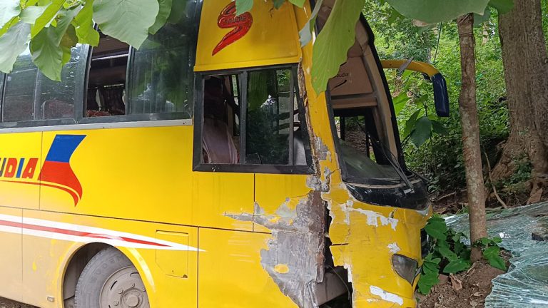 কাপ্তাইয়ে নৌবাহিনীর বাসের সঙ্গে সৌদিয়া পরিবহনের সংঘর্ষ, সব যাত্রীর প্রাণ রক্ষা