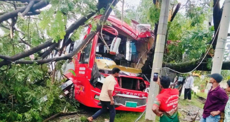 গাছের সঙ্গে বাসের ধাক্কা, চালকসহ ১০ জন আহত